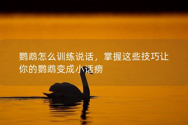 鹦鹉怎么训练说话，掌握这些技巧让你的鹦鹉变成小话痨