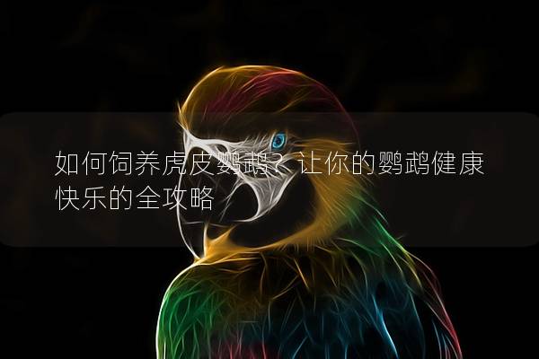 如何饲养虎皮鹦鹉？让你的鹦鹉健康快乐的全攻略