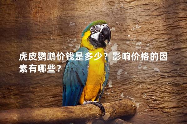 虎皮鹦鹉价钱是多少？影响价格的因素有哪些？