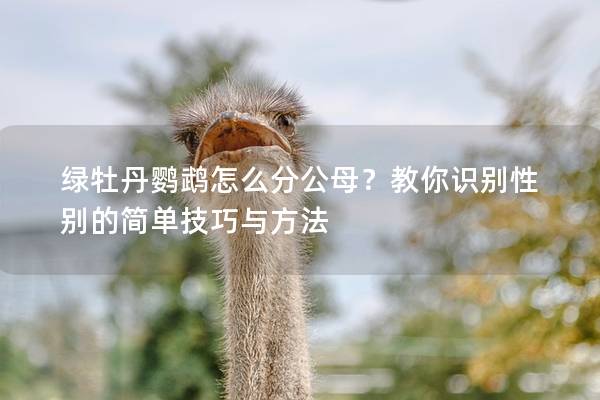绿牡丹鹦鹉怎么分公母？教你识别性别的简单技巧与方法
