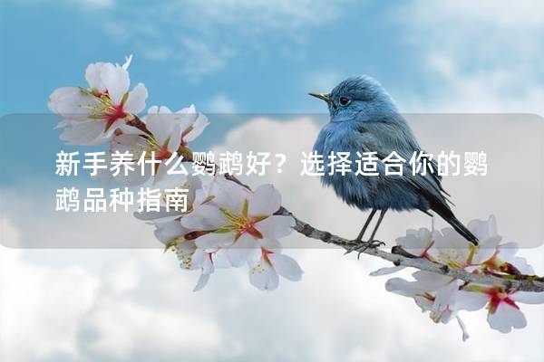 新手养什么鹦鹉好？选择适合你的鹦鹉品种指南