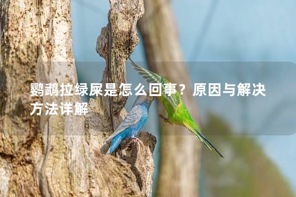 鹦鹉拉绿屎是怎么回事？原因与解决方法详解