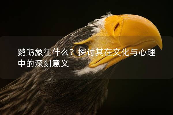 鹦鹉象征什么？探讨其在文化与心理中的深刻意义