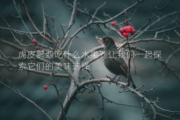 虎皮鹦鹉吃什么水果？让我们一起探索它们的美味选择