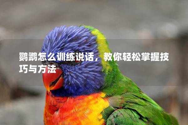鹦鹉怎么训练说话，教你轻松掌握技巧与方法
