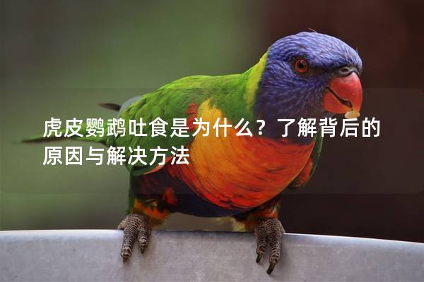 虎皮鹦鹉吐食是为什么？了解背后的原因与解决方法