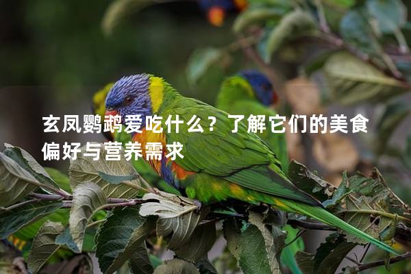 玄凤鹦鹉爱吃什么？了解它们的美食偏好与营养需求