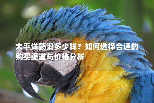 太平洋鹦鹉多少钱？如何选择合适的购买渠道与价格分析