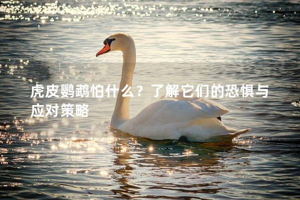 虎皮鹦鹉怕什么？了解它们的恐惧与应对策略