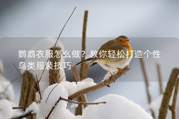 鹦鹉衣服怎么做？教你轻松打造个性鸟类服装技巧