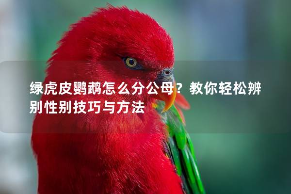 绿虎皮鹦鹉怎么分公母？教你轻松辨别性别技巧与方法