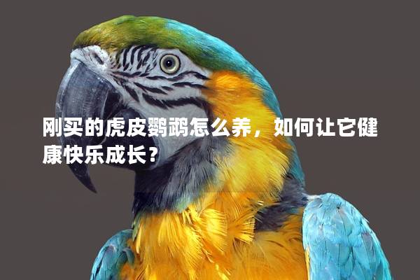 刚买的虎皮鹦鹉怎么养，如何让它健康快乐成长？