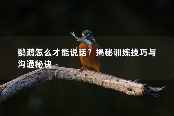 鹦鹉怎么才能说话？揭秘训练技巧与沟通秘诀