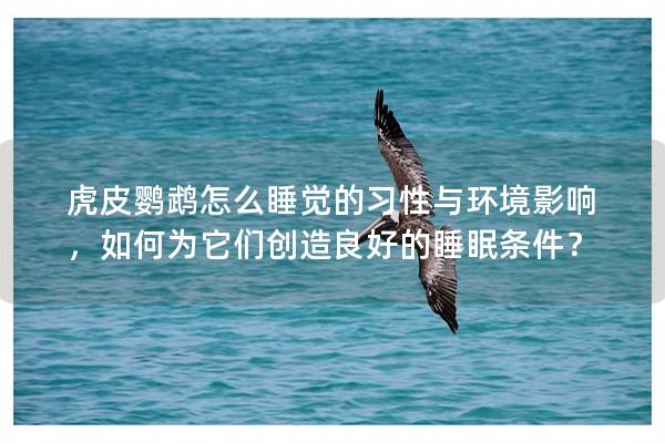 虎皮鹦鹉怎么睡觉的习性与环境影响，如何为它们创造良好的睡眠条件？