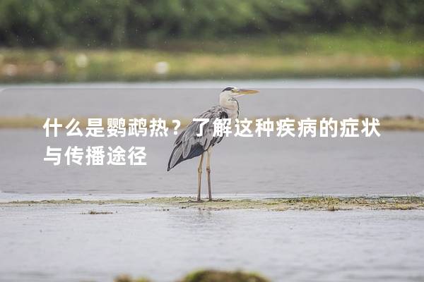 什么是鹦鹉热？了解这种疾病的症状与传播途径