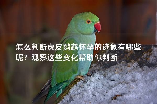 怎么判断虎皮鹦鹉怀孕的迹象有哪些呢？观察这些变化帮助你判断