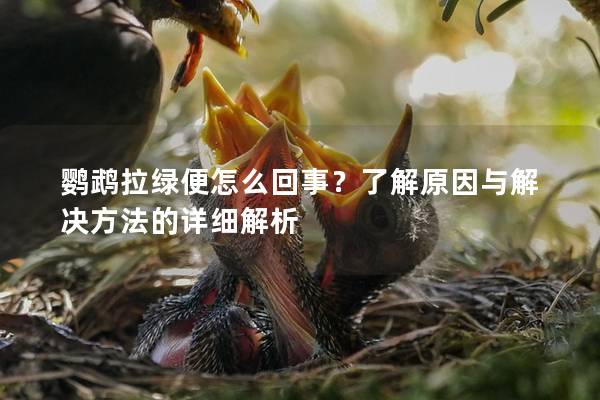 鹦鹉拉绿便怎么回事？了解原因与解决方法的详细解析