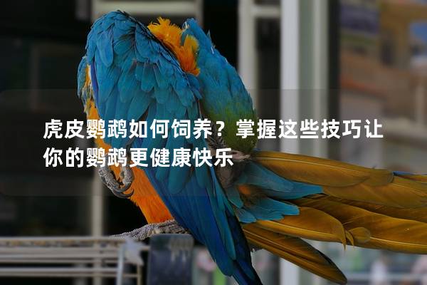 虎皮鹦鹉如何饲养？掌握这些技巧让你的鹦鹉更健康快乐