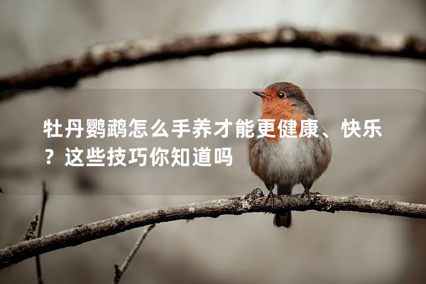 牡丹鹦鹉怎么手养才能更健康、快乐？这些技巧你知道吗