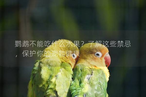 鹦鹉不能吃什么水果？了解这些禁忌，保护你的宠物健康