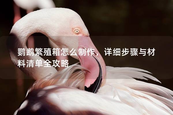 鹦鹉繁殖箱怎么制作，详细步骤与材料清单全攻略