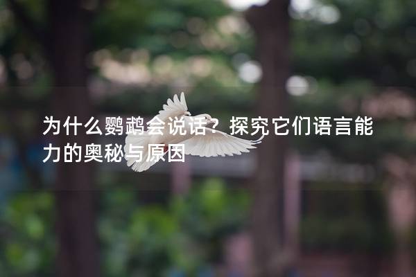 为什么鹦鹉会说话？探究它们语言能力的奥秘与原因