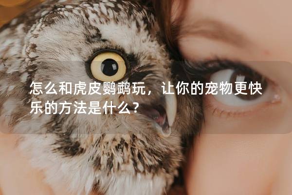怎么和虎皮鹦鹉玩，让你的宠物更快乐的方法是什么？
