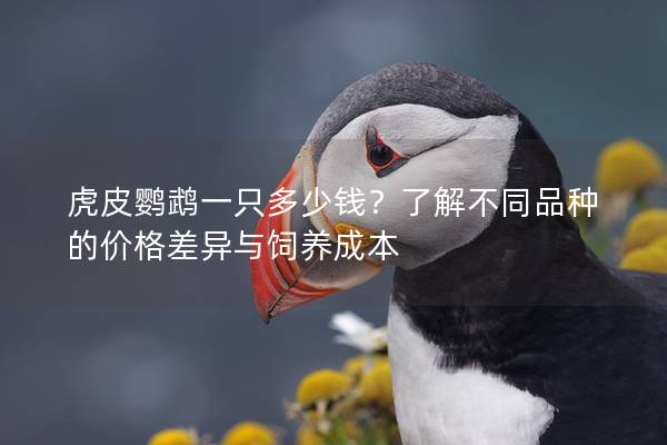 虎皮鹦鹉一只多少钱？了解不同品种的价格差异与饲养成本