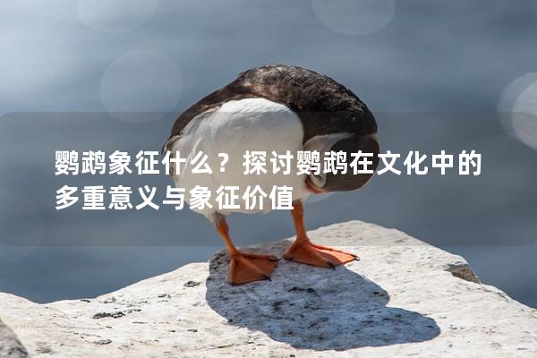 鹦鹉象征什么？探讨鹦鹉在文化中的多重意义与象征价值