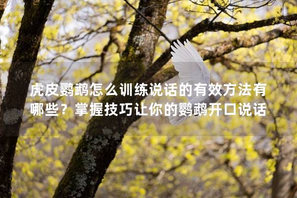 虎皮鹦鹉怎么训练说话的有效方法有哪些？掌握技巧让你的鹦鹉开口说话