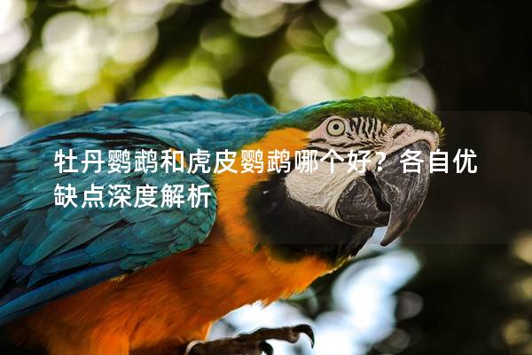 牡丹鹦鹉和虎皮鹦鹉哪个好？各自优缺点深度解析