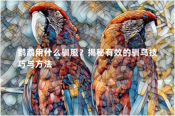 鹦鹉用什么驯服？揭秘有效的驯鸟技巧与方法