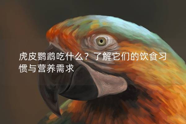 虎皮鹦鹉吃什么？了解它们的饮食习惯与营养需求