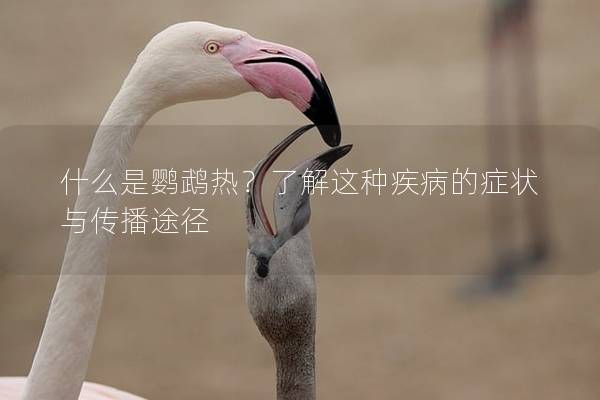 什么是鹦鹉热？了解这种疾病的症状与传播途径