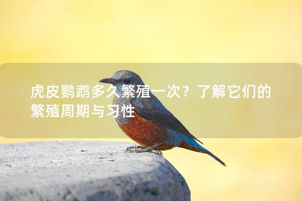 虎皮鹦鹉多久繁殖一次？了解它们的繁殖周期与习性