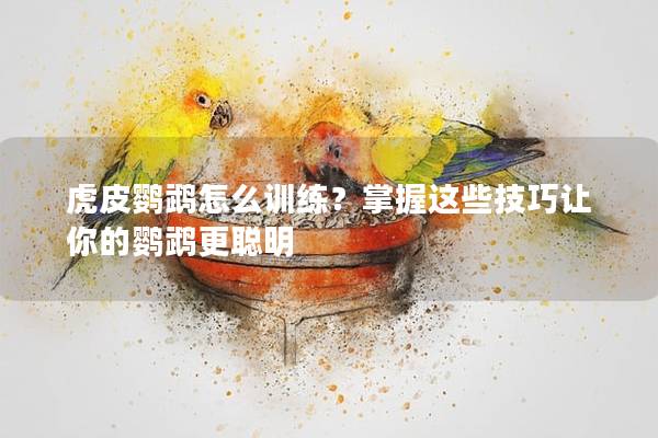 虎皮鹦鹉怎么训练？掌握这些技巧让你的鹦鹉更聪明
