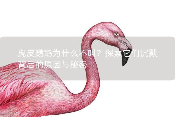 虎皮鹦鹉为什么不叫？探索它们沉默背后的原因与秘密
