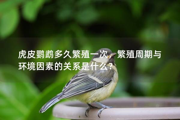 虎皮鹦鹉多久繁殖一次，繁殖周期与环境因素的关系是什么？