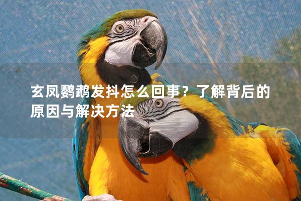 玄凤鹦鹉发抖怎么回事？了解背后的原因与解决方法
