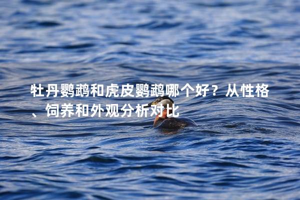 牡丹鹦鹉和虎皮鹦鹉哪个好？从性格、饲养和外观分析对比