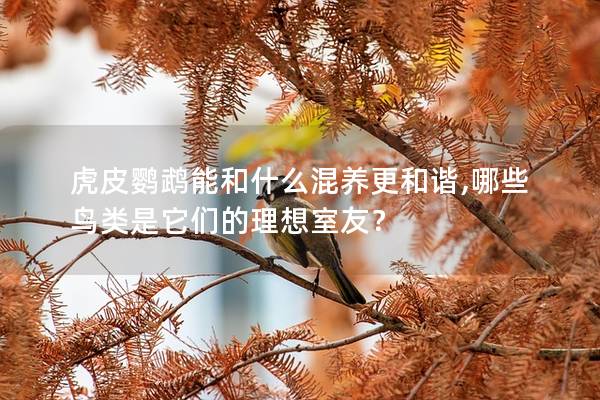 虎皮鹦鹉能和什么混养更和谐,哪些鸟类是它们的理想室友？