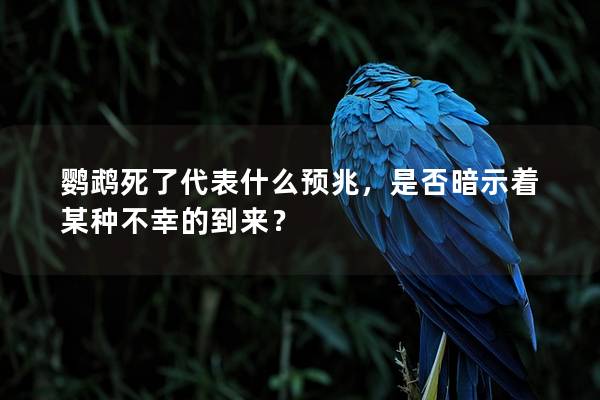 鹦鹉死了代表什么预兆，是否暗示着某种不幸的到来？