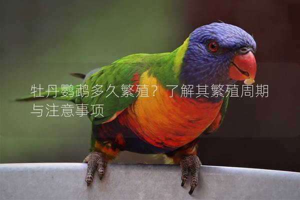 牡丹鹦鹉多久繁殖？了解其繁殖周期与注意事项