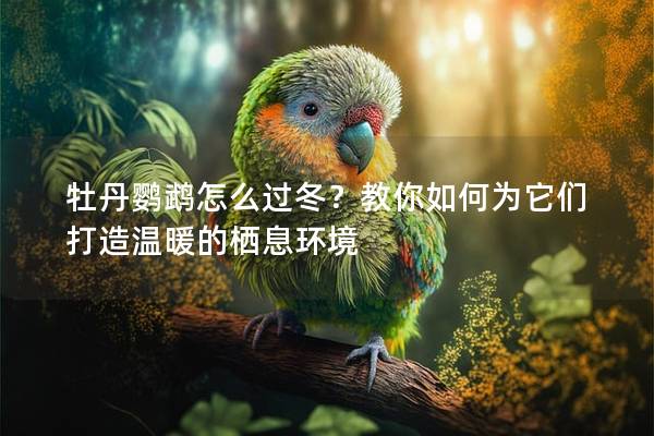 牡丹鹦鹉怎么过冬？教你如何为它们打造温暖的栖息环境