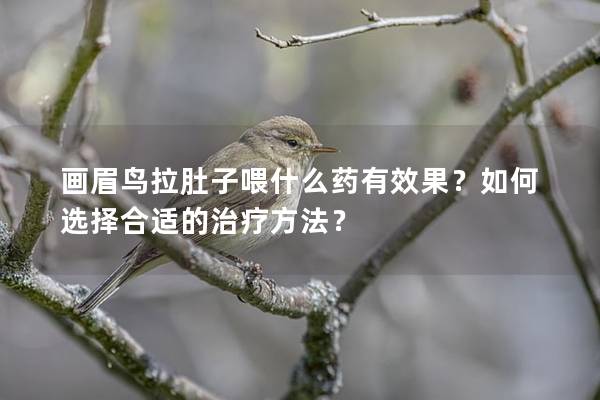 画眉鸟拉肚子喂什么药有效果？如何选择合适的治疗方法？