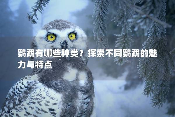 鹦鹉有哪些种类？探索不同鹦鹉的魅力与特点