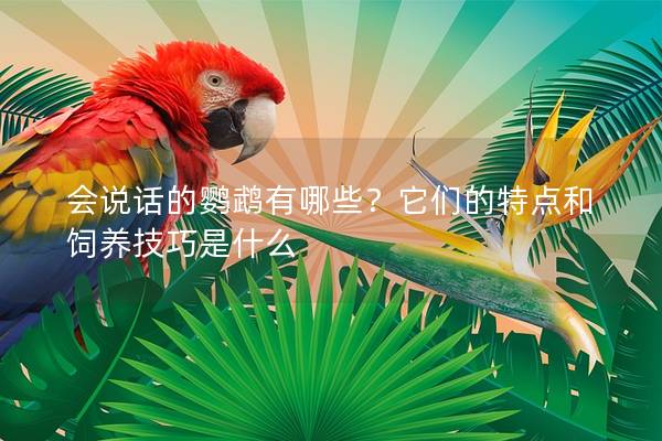 会说话的鹦鹉有哪些？它们的特点和饲养技巧是什么
