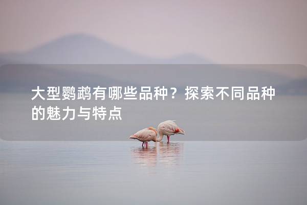 大型鹦鹉有哪些品种？探索不同品种的魅力与特点