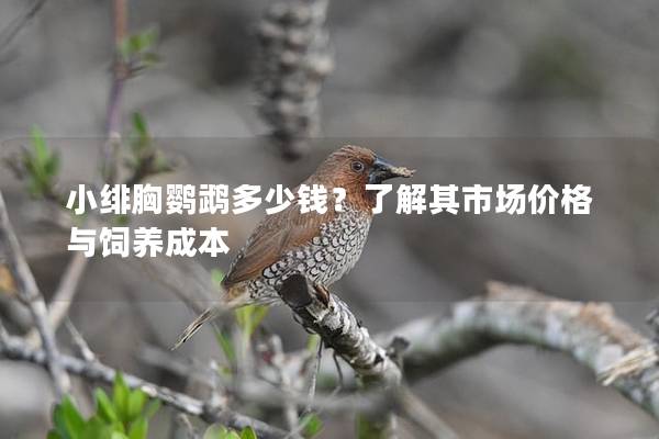 小绯胸鹦鹉多少钱？了解其市场价格与饲养成本