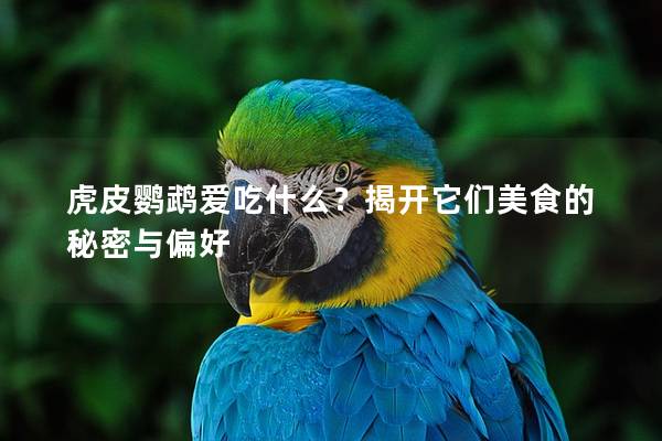 虎皮鹦鹉爱吃什么？揭开它们美食的秘密与偏好